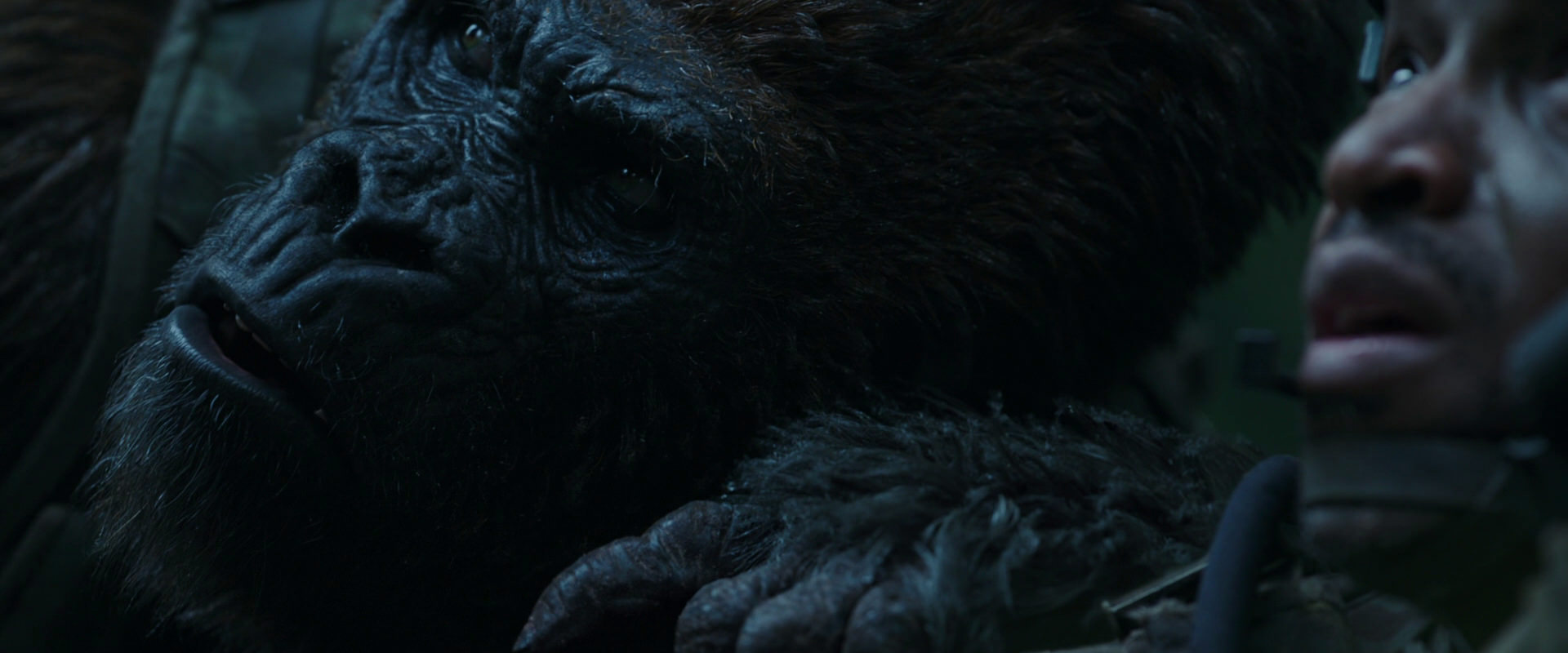War for the Planet of the Apes (2017) screencap 159