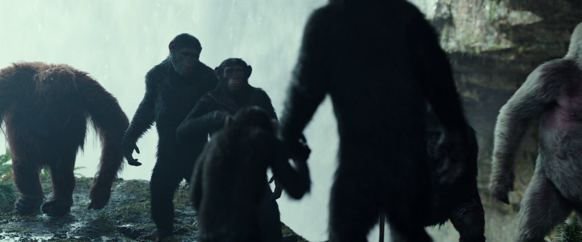 War for the Planet of the Apes (2017) screencap 1593