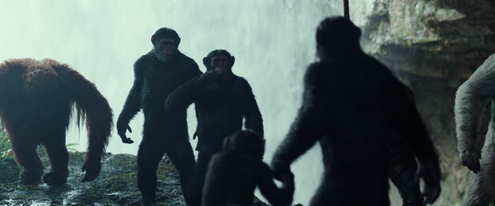 War for the Planet of the Apes (2017) movie still 1594