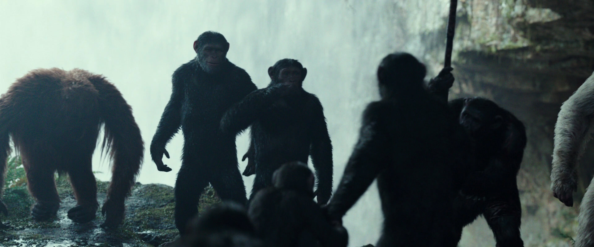 War for the Planet of the Apes (2017) HD screenshot 1595