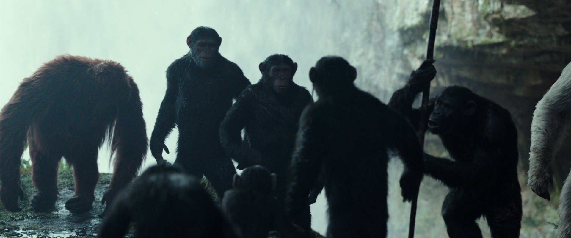 War for the Planet of the Apes (2017) screencap 1596