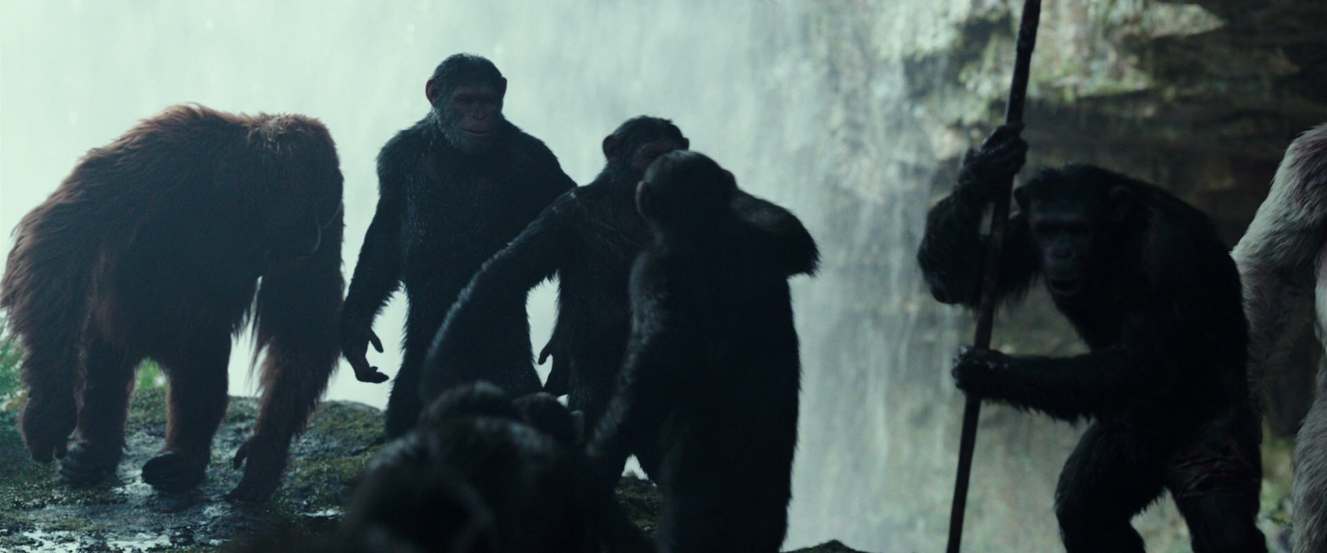 War for the Planet of the Apes (2017) movie still 1597