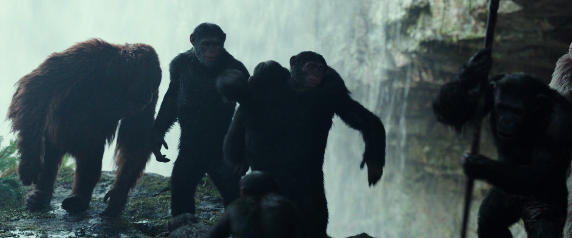 War for the Planet of the Apes (2017) HD screenshot 1598
