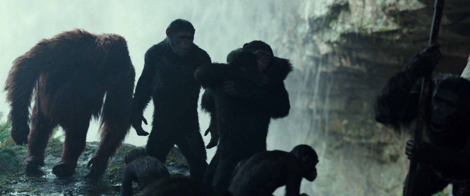 War for the Planet of the Apes (2017) screencap 1599