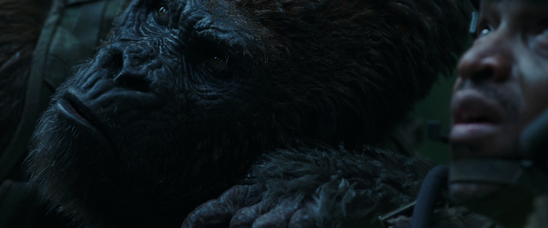 War for the Planet of the Apes (2017) movie still 160