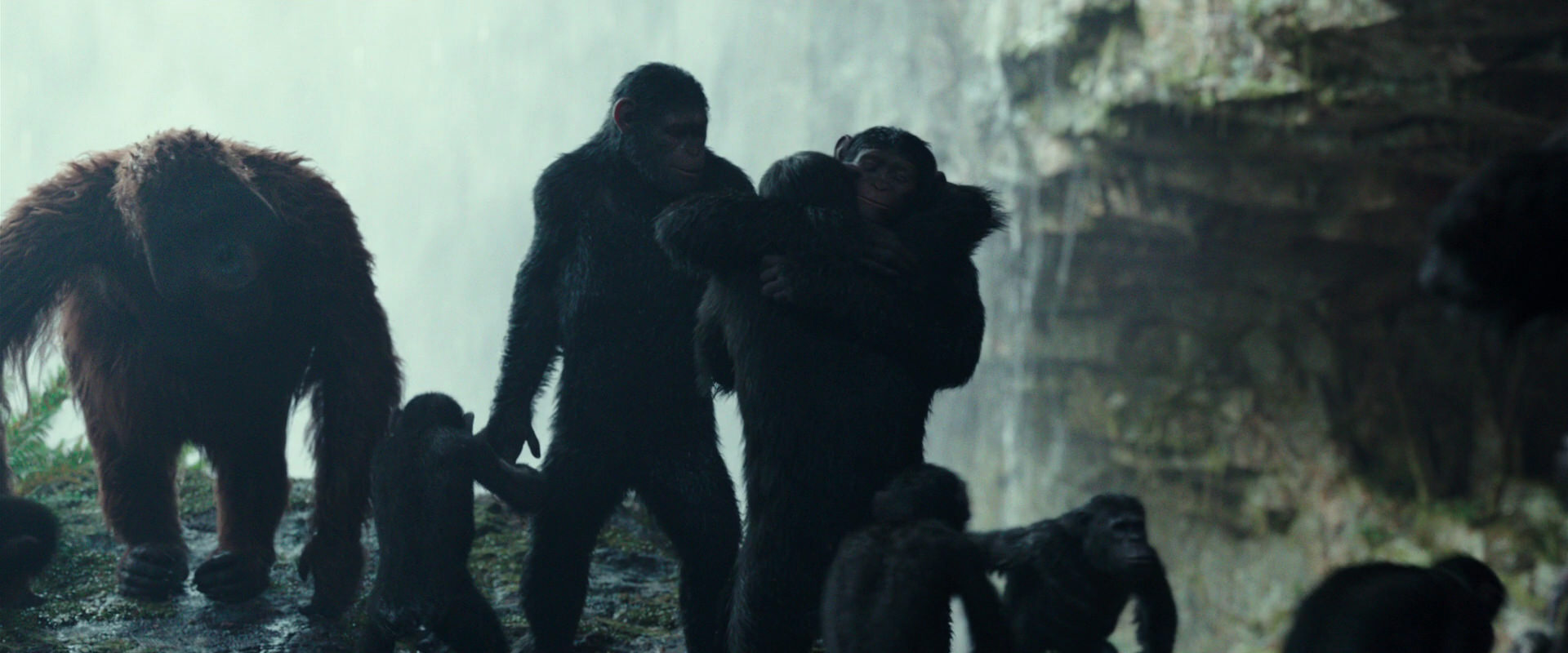 War for the Planet of the Apes (2017) HD screenshot 1601