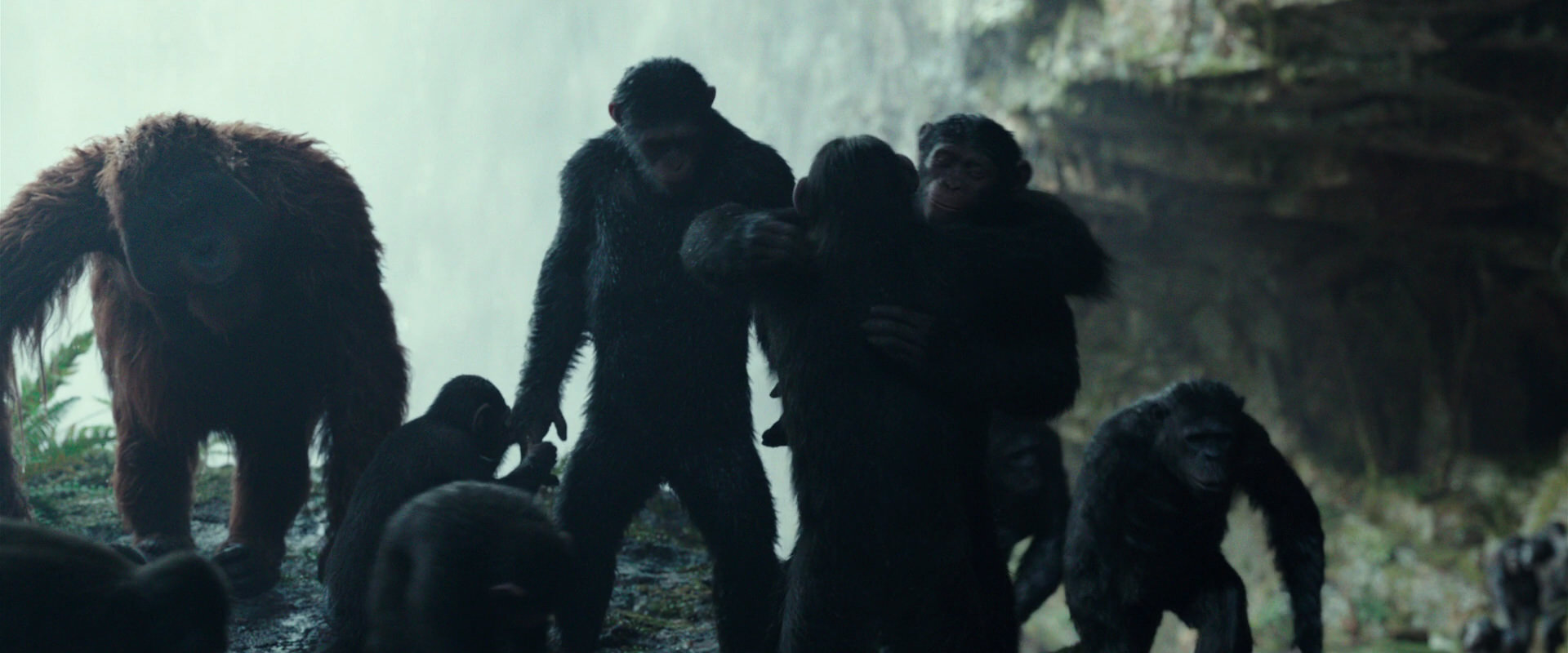 War for the Planet of the Apes (2017) movie still 1603