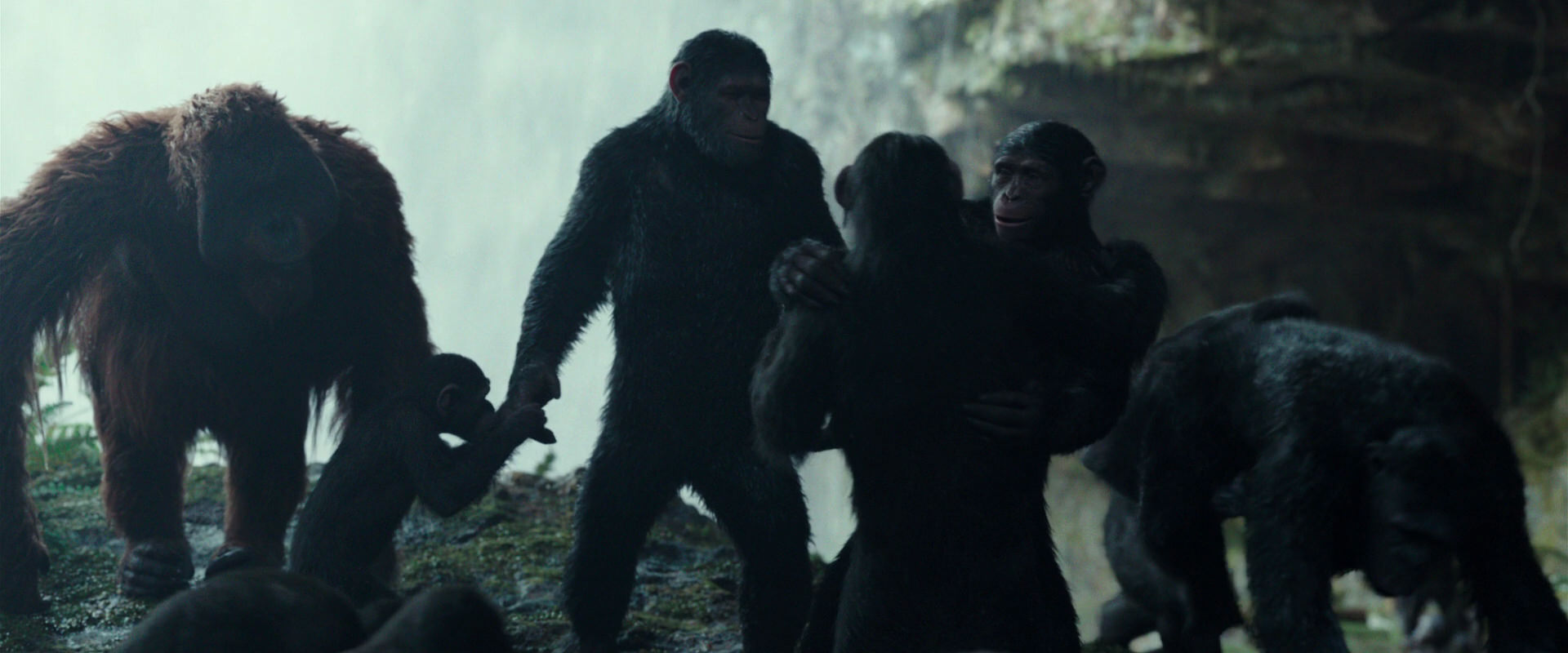 War for the Planet of the Apes (2017) screencap 1605