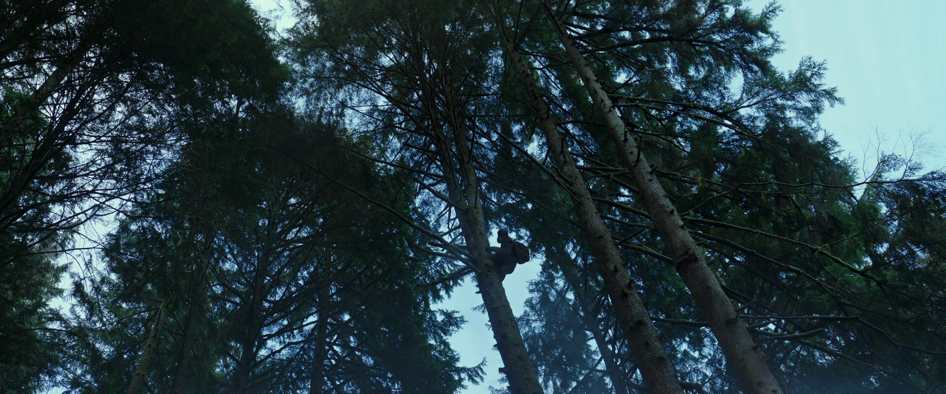 War for the Planet of the Apes (2017) HD screenshot 161
