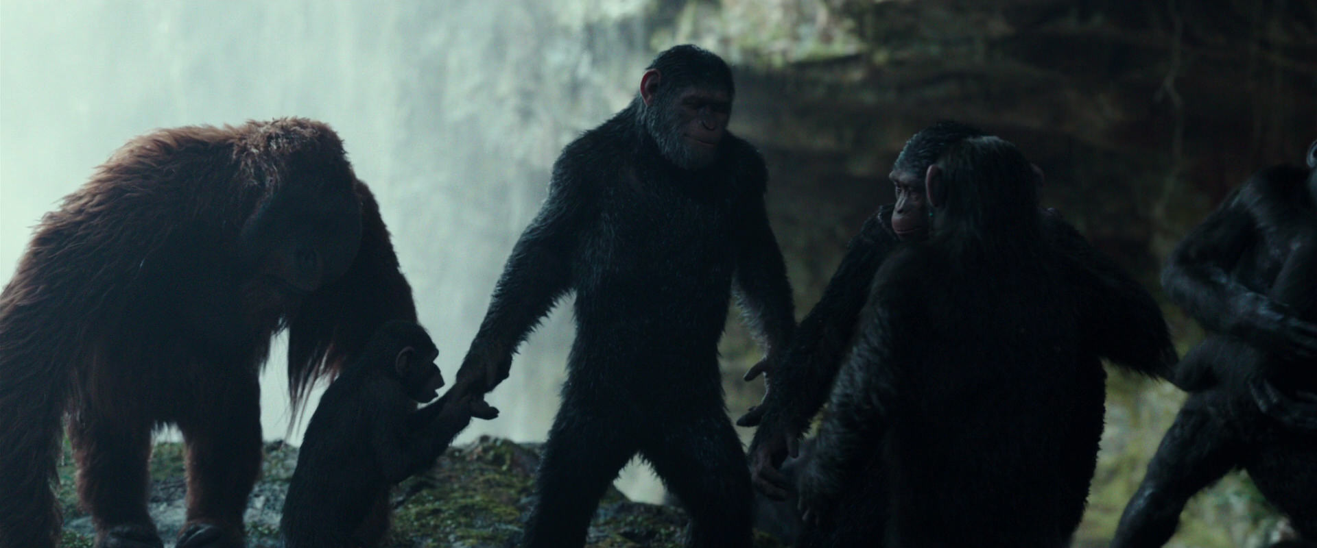 War for the Planet of the Apes (2017) HD screenshot 1610