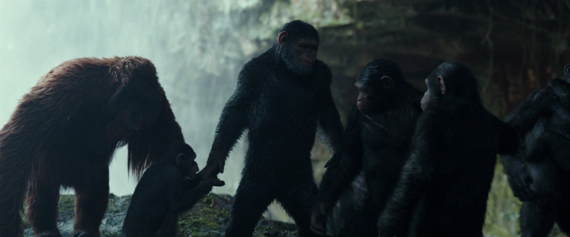 War for the Planet of the Apes (2017) screencap 1611