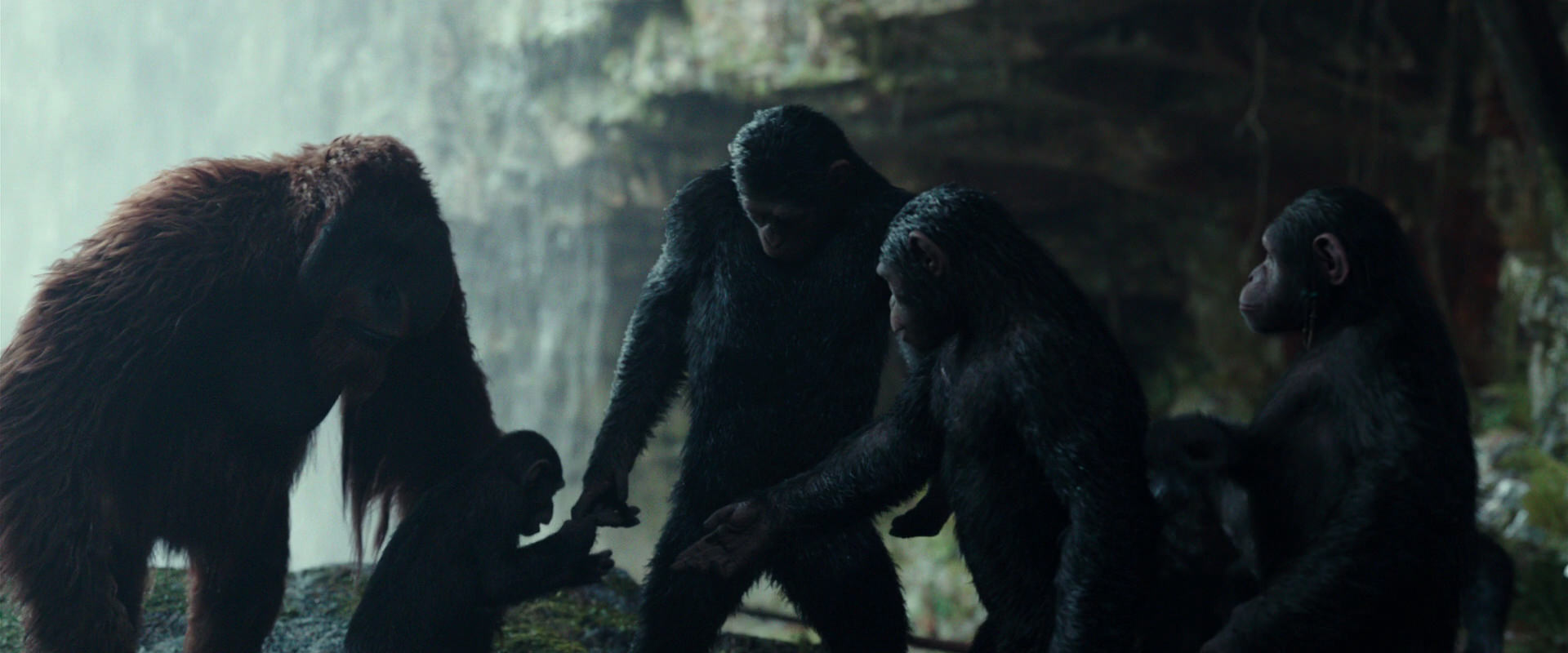 War for the Planet of the Apes (2017) HD screenshot 1613