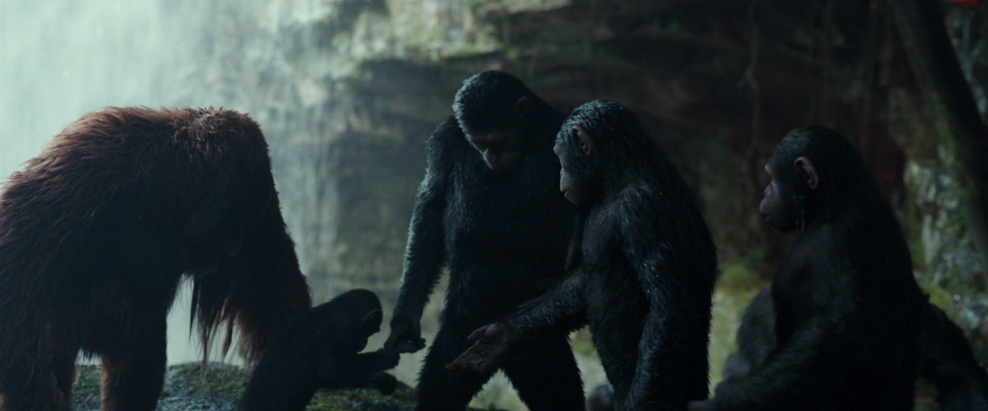 War for the Planet of the Apes (2017) screencap 1614