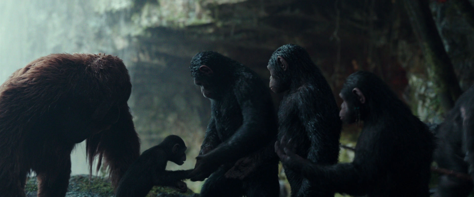 War for the Planet of the Apes (2017) movie still 1615