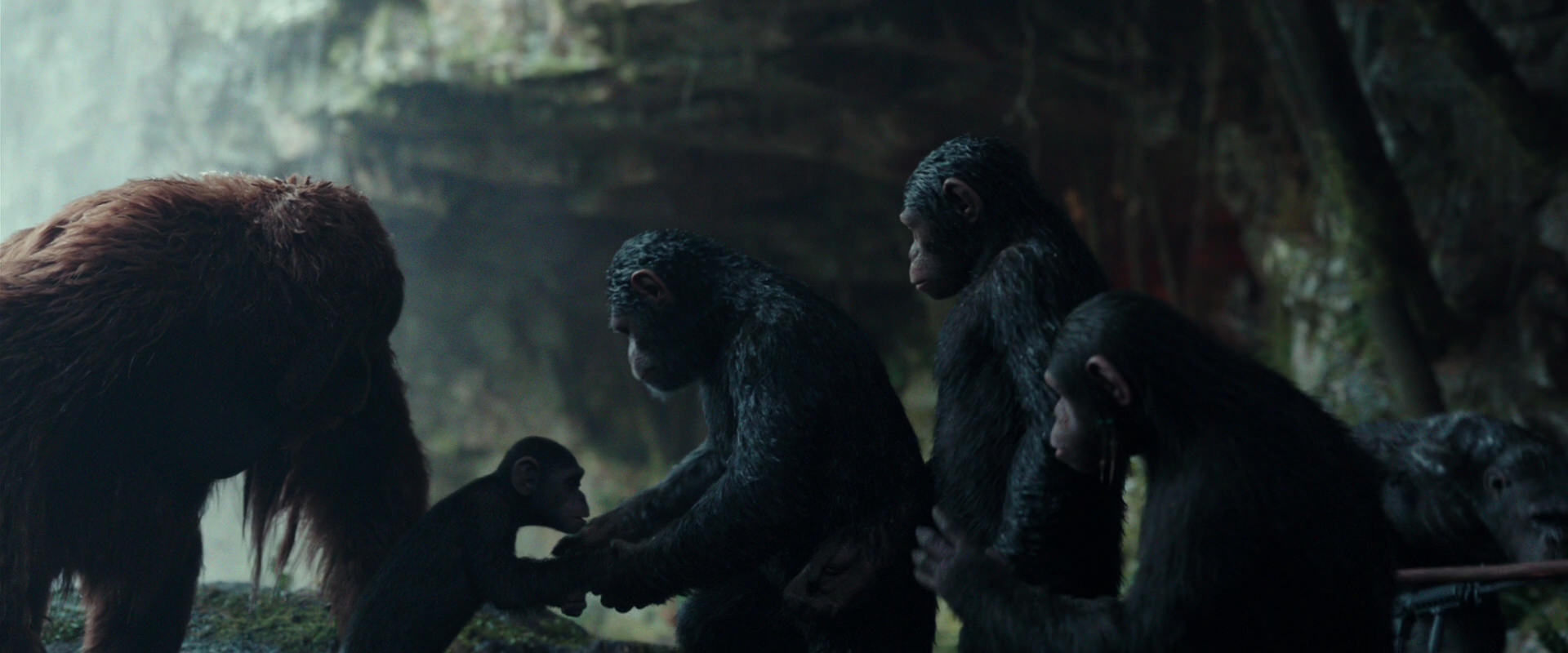 War for the Planet of the Apes (2017) HD screenshot 1616