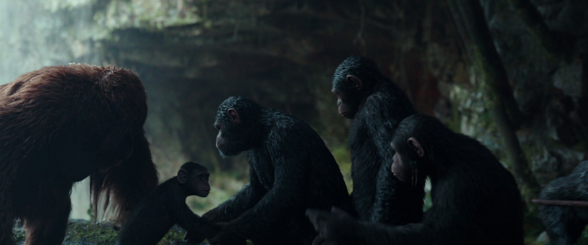 War for the Planet of the Apes (2017) screencap 1617