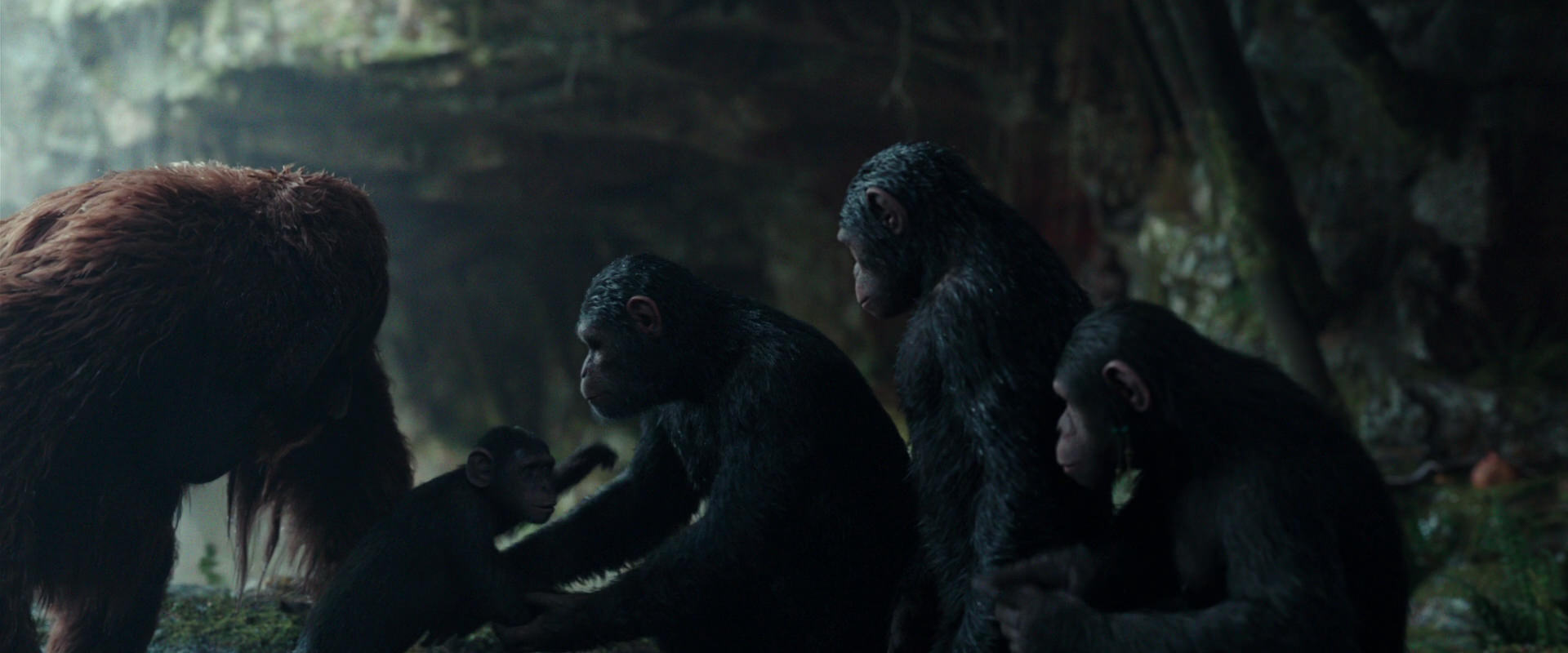 War for the Planet of the Apes (2017) movie still 1618