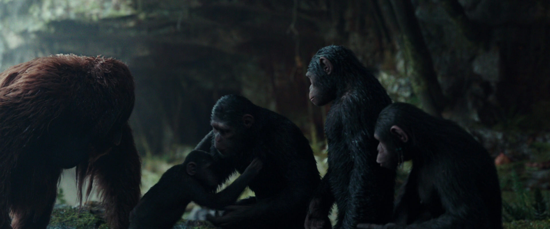 War for the Planet of the Apes (2017) HD screenshot 1619