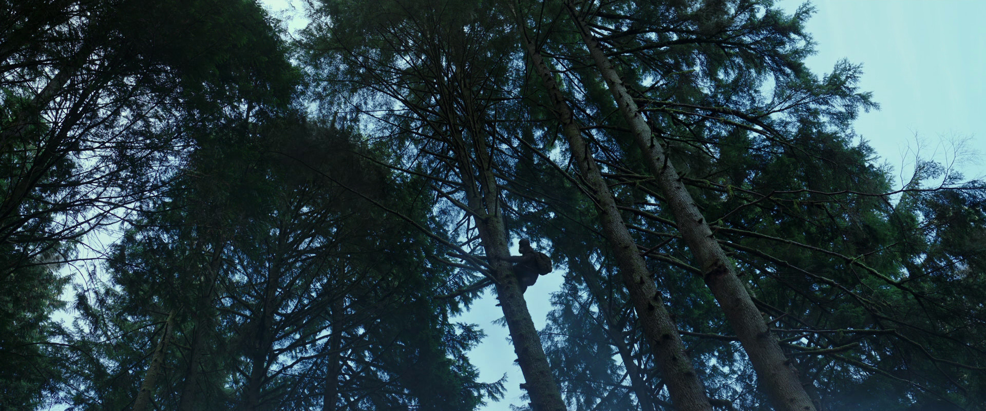 War for the Planet of the Apes (2017) screencap 162