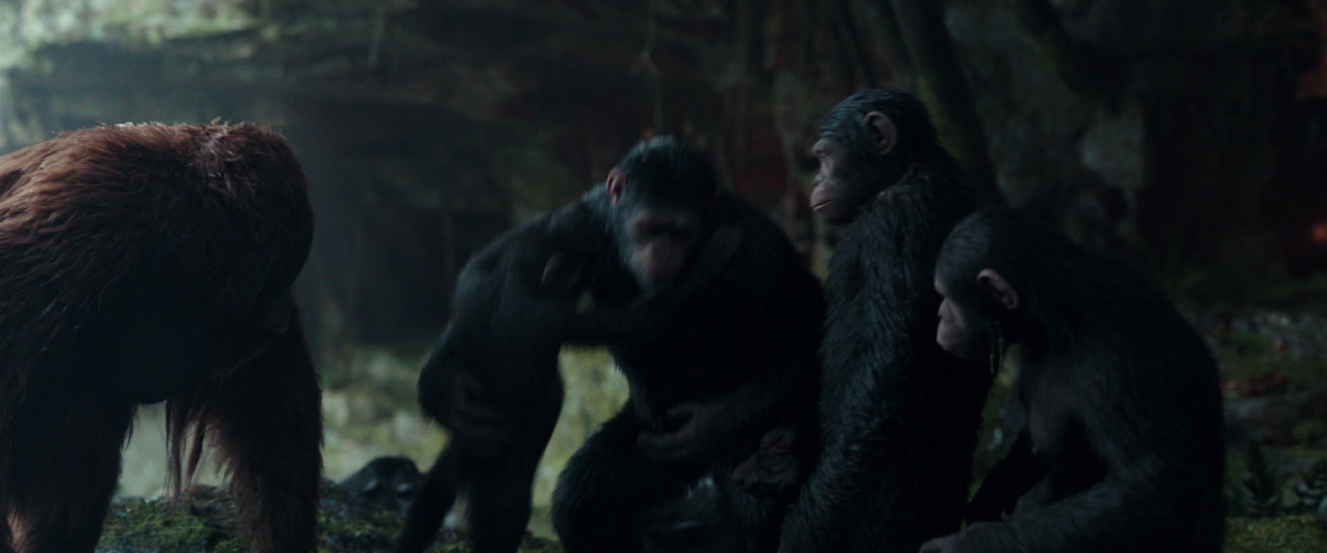 War for the Planet of the Apes (2017) screencap 1620