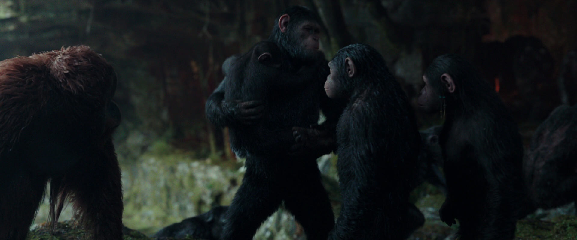 War for the Planet of the Apes (2017) screencap 1623