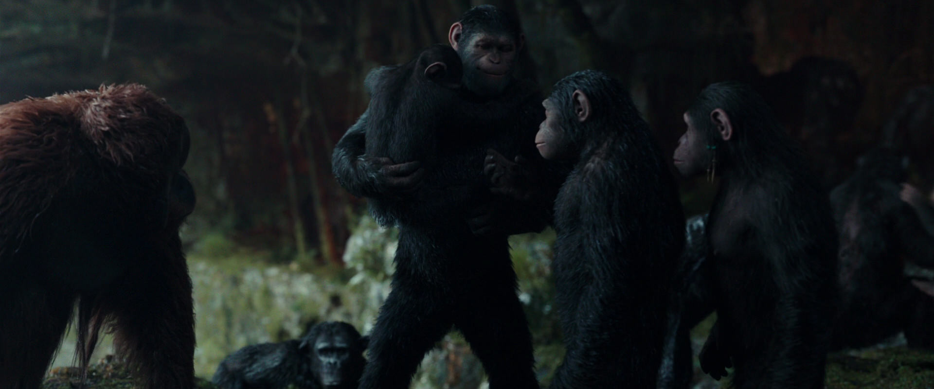 War for the Planet of the Apes (2017) movie still 1624