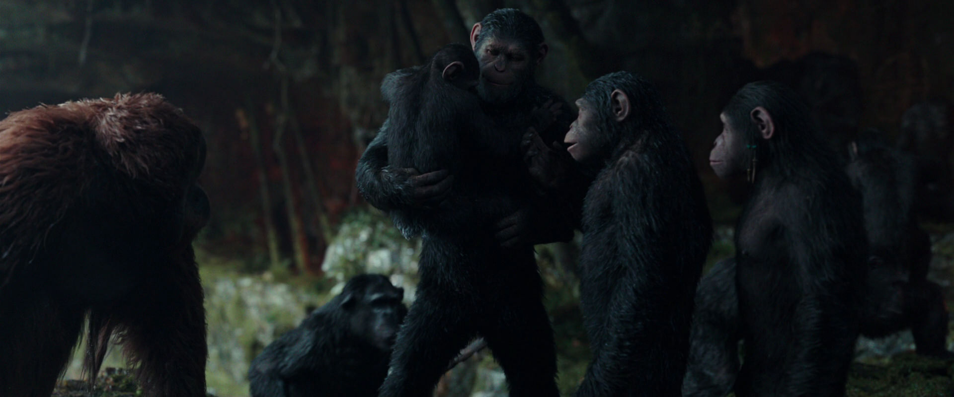 War for the Planet of the Apes (2017) HD screenshot 1625