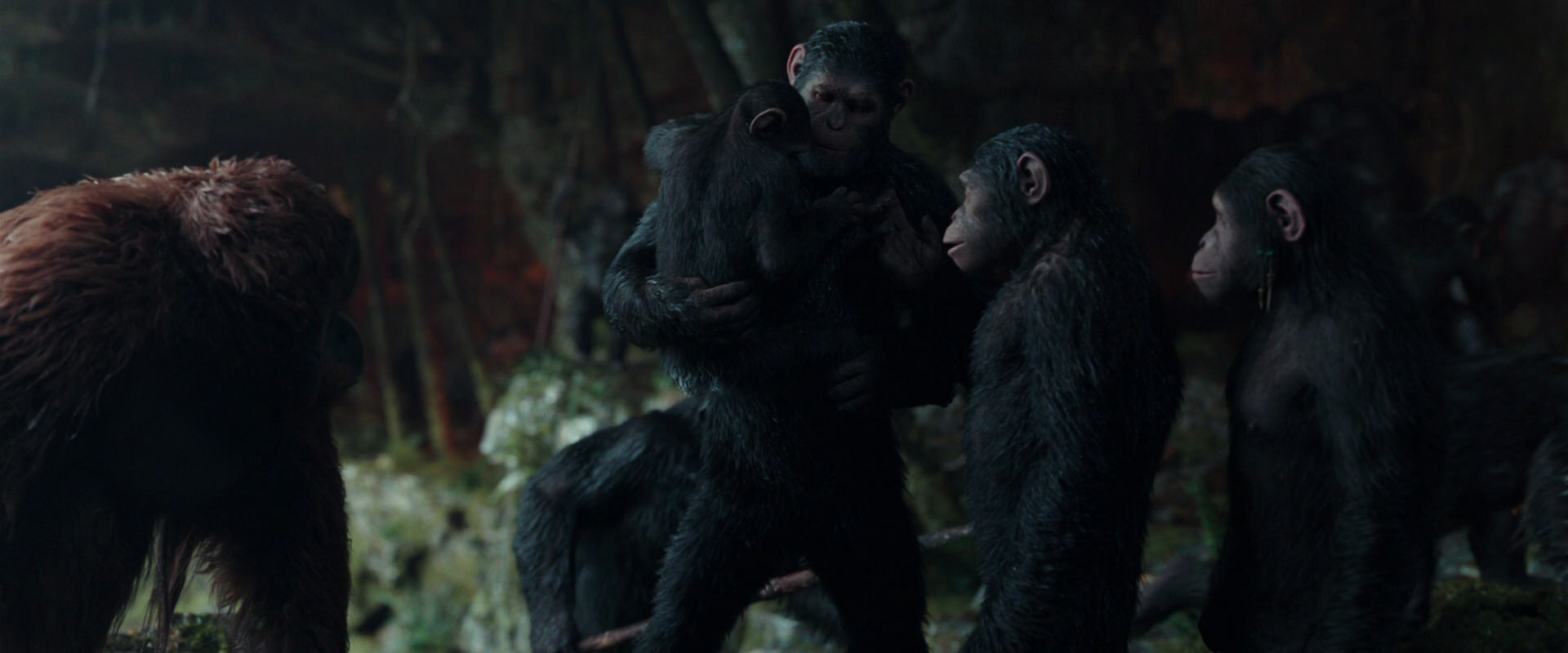 War for the Planet of the Apes (2017) screencap 1626
