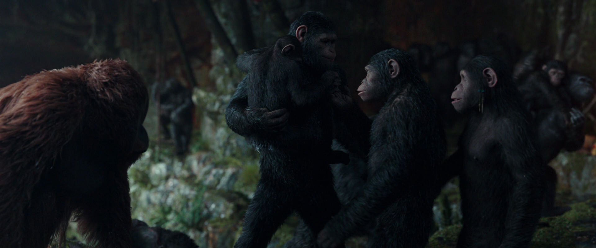 War for the Planet of the Apes (2017) screencap 1629