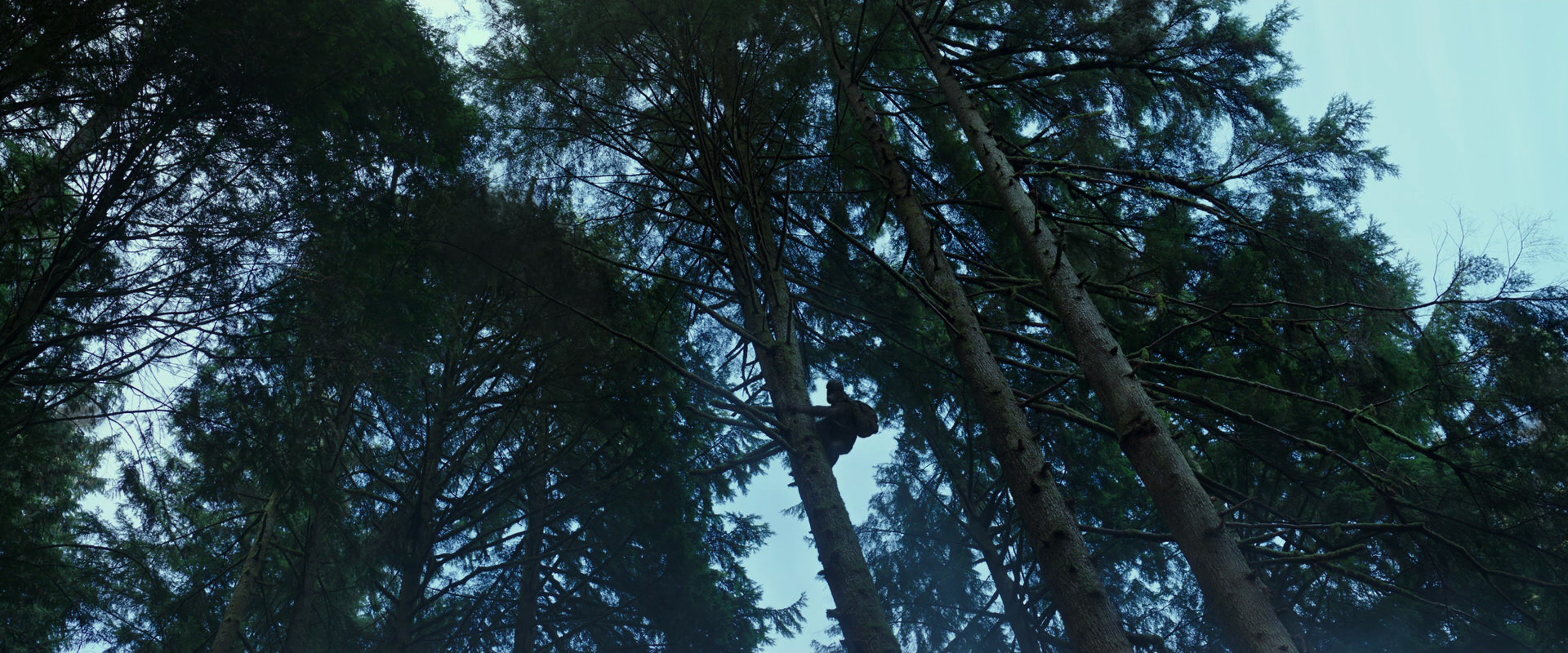 War for the Planet of the Apes (2017) movie still 163
