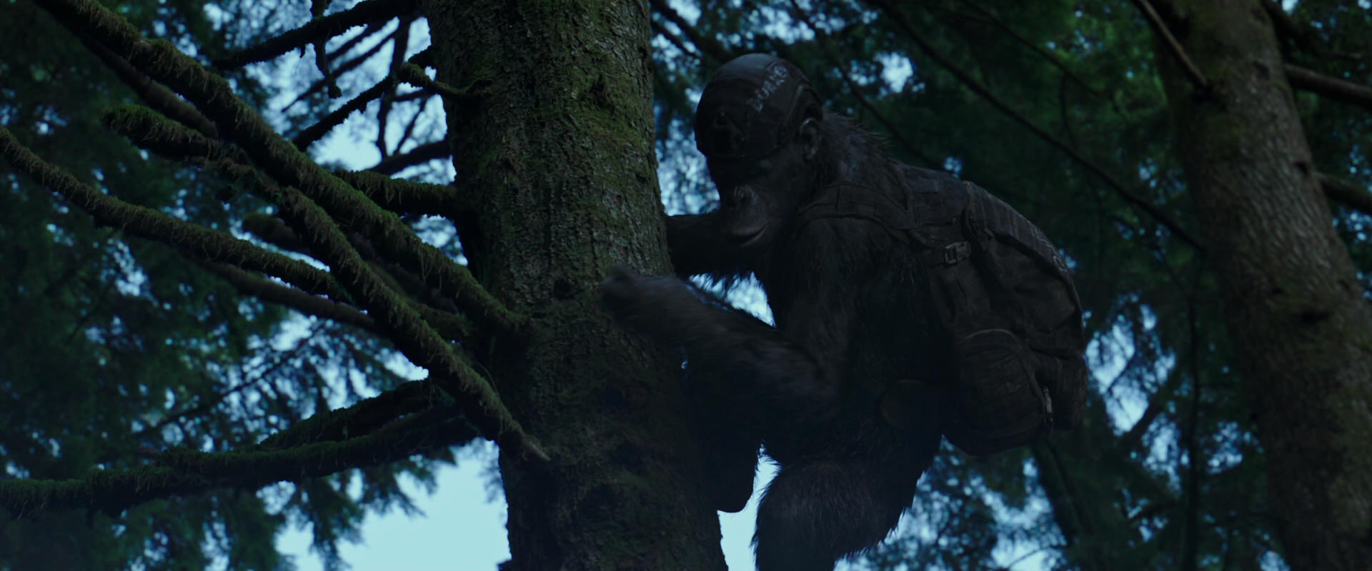 War for the Planet of the Apes (2017) HD screenshot 164