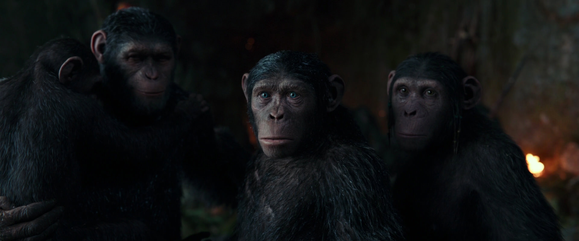 War for the Planet of the Apes (2017) HD screenshot 1643