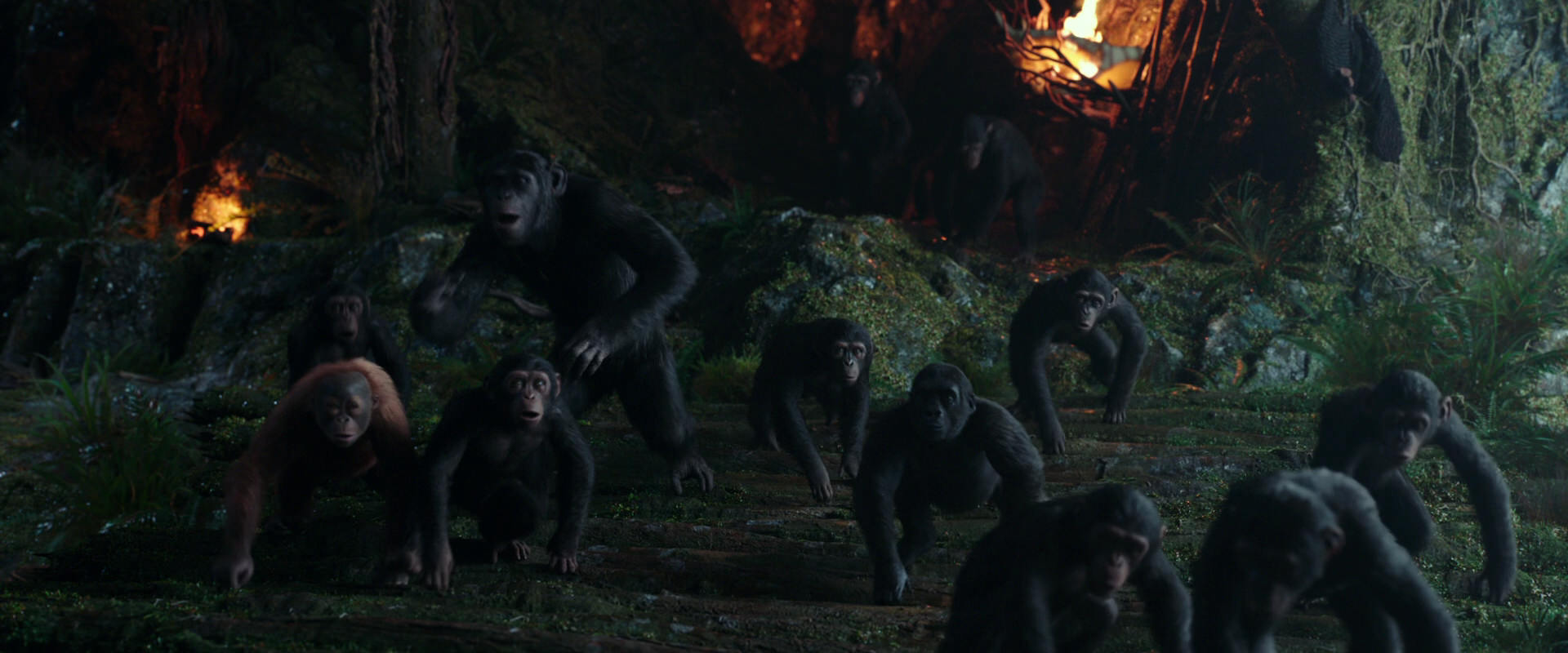 War for the Planet of the Apes (2017) screencap 1644
