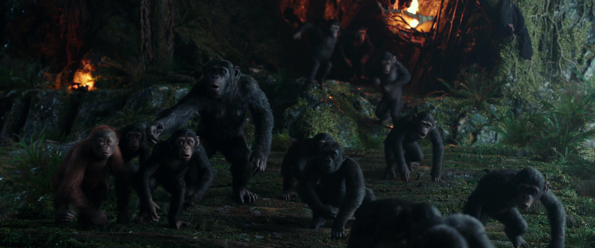 War for the Planet of the Apes (2017) movie still 1645