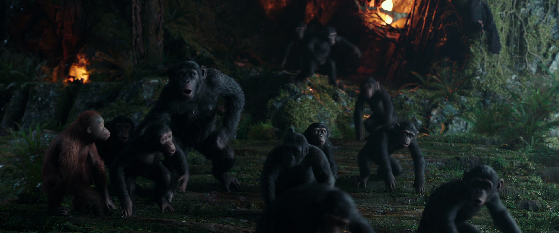 War for the Planet of the Apes (2017) HD screenshot 1646