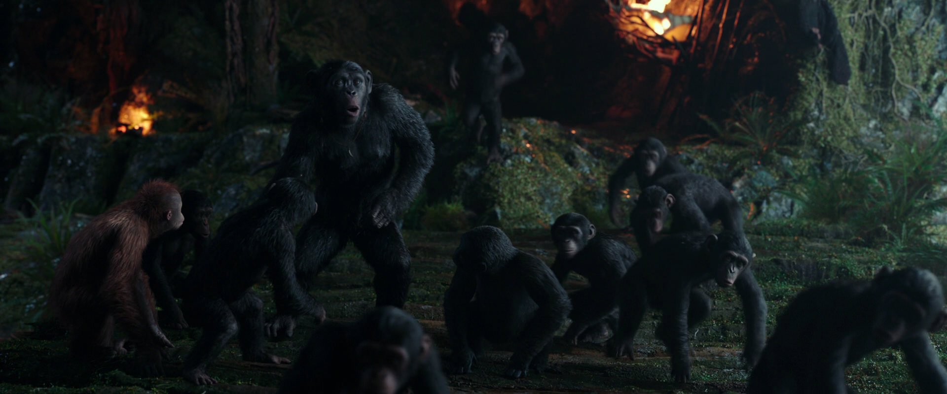 War for the Planet of the Apes (2017) movie still 1648