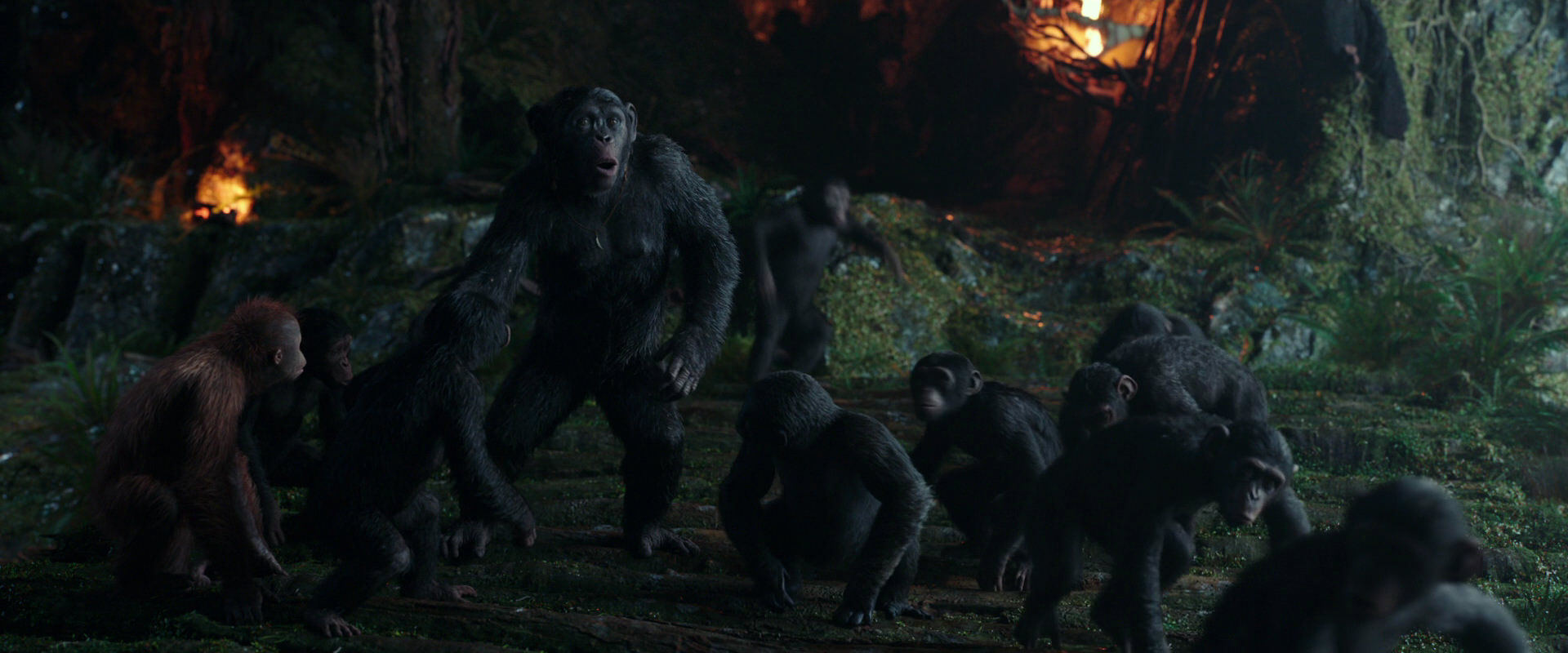 War for the Planet of the Apes (2017) HD screenshot 1649