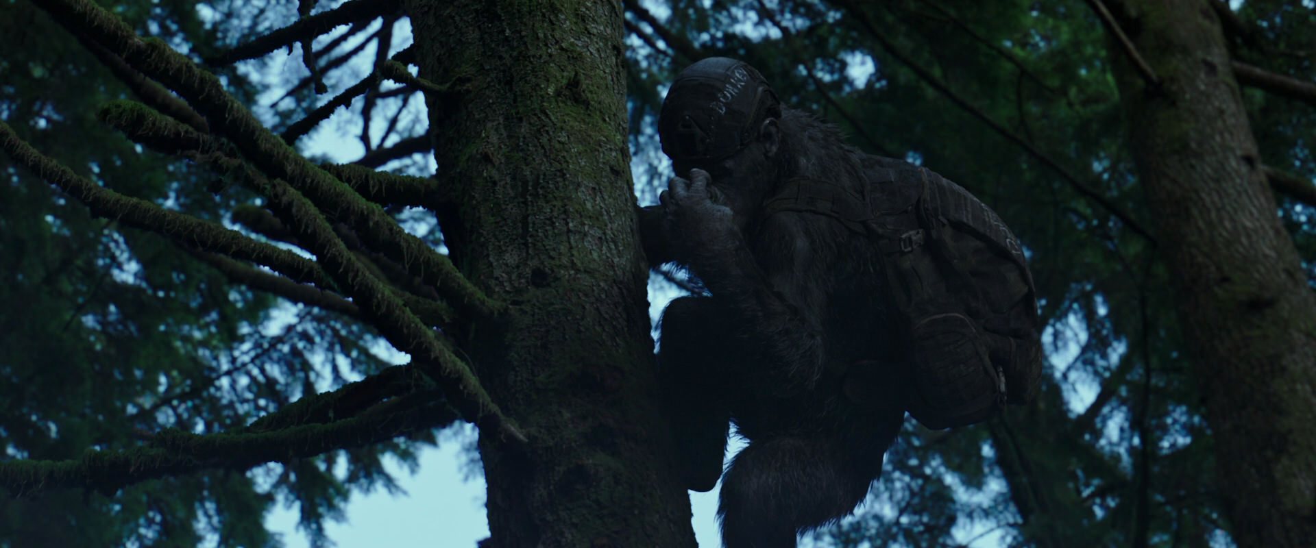 War for the Planet of the Apes (2017) screencap 165
