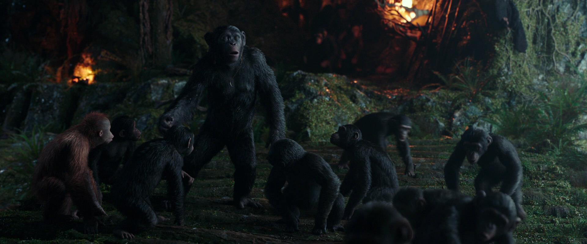 War for the Planet of the Apes (2017) movie still 1651
