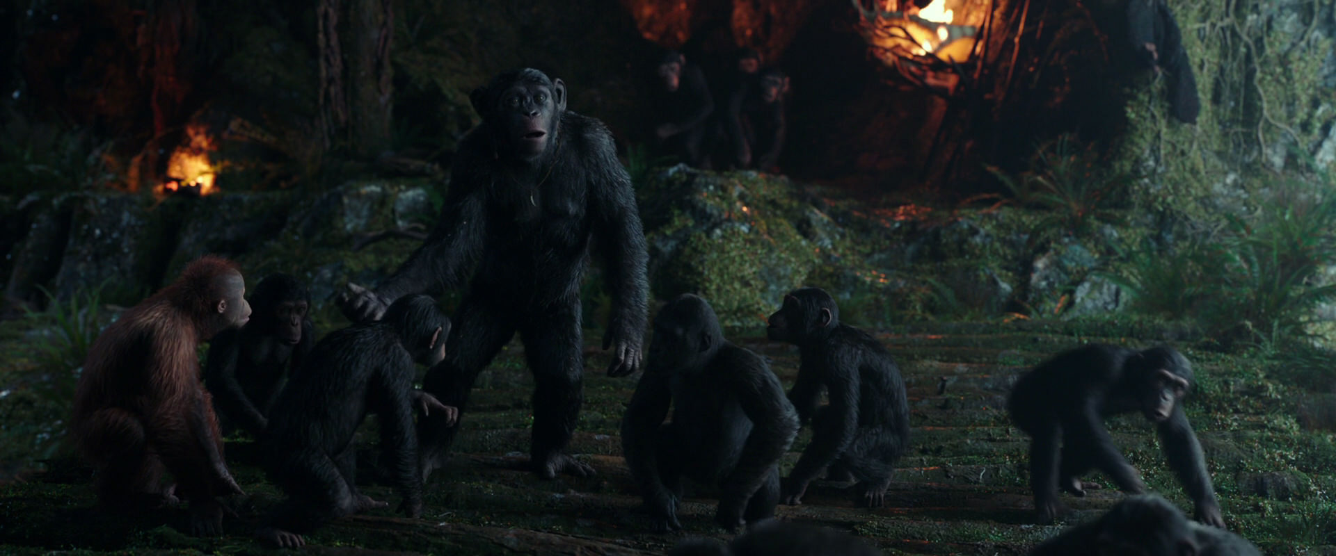 War for the Planet of the Apes (2017) screencap 1653