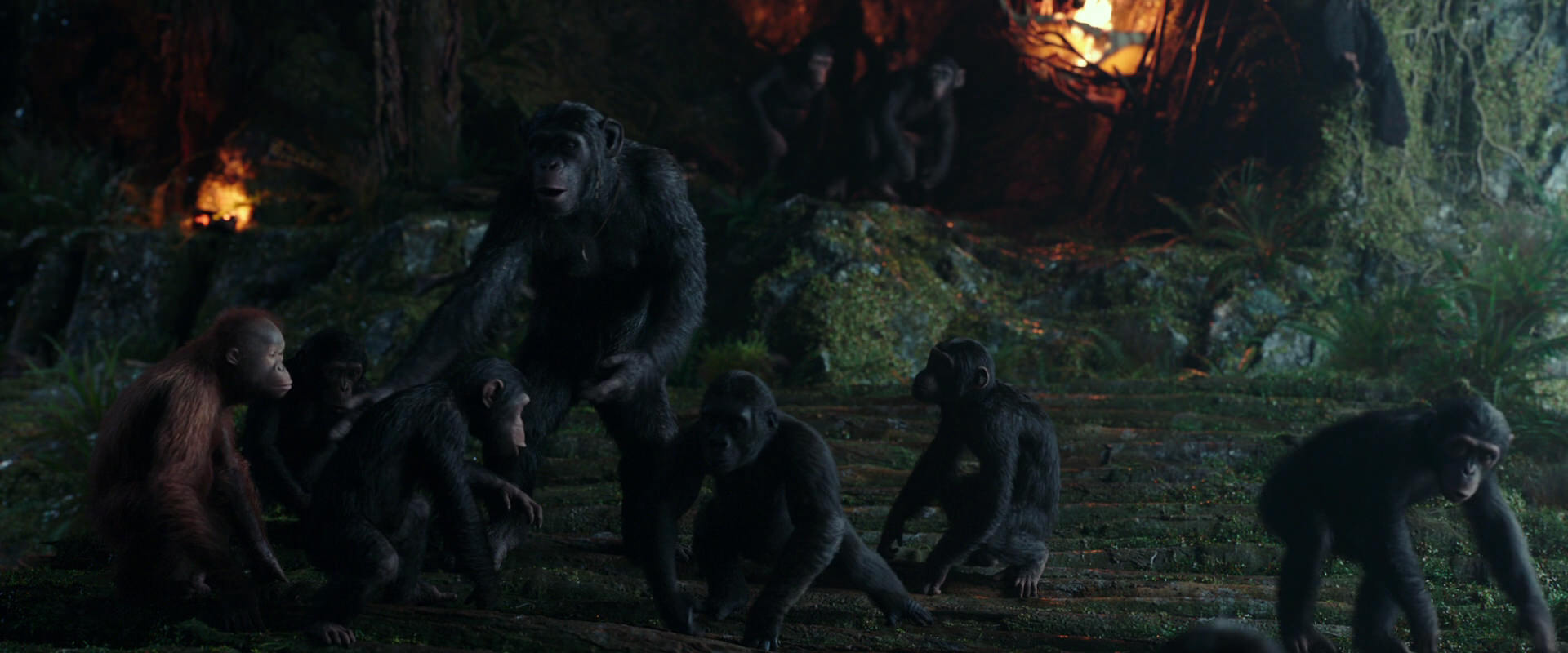 War for the Planet of the Apes (2017) movie still 1654
