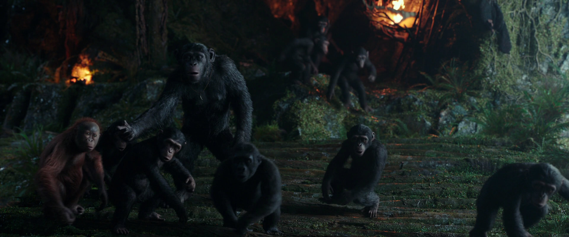 War for the Planet of the Apes (2017) HD screenshot 1655