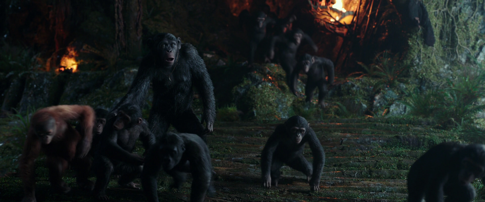 War for the Planet of the Apes (2017) screencap 1656