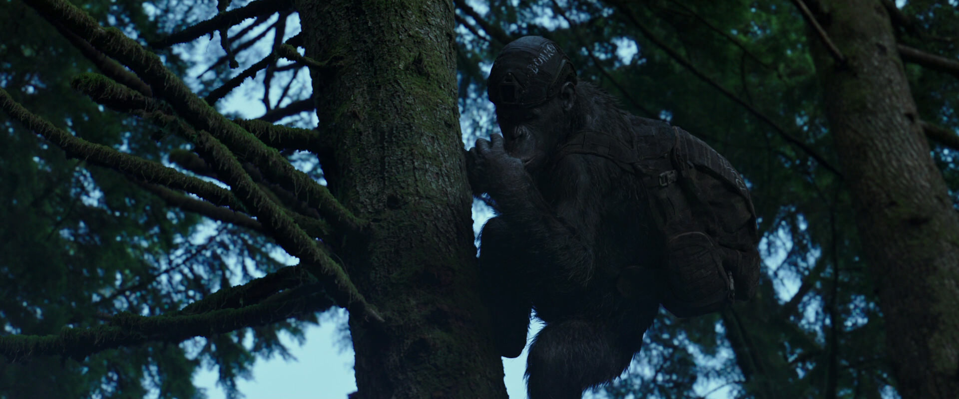 War for the Planet of the Apes (2017) movie still 166