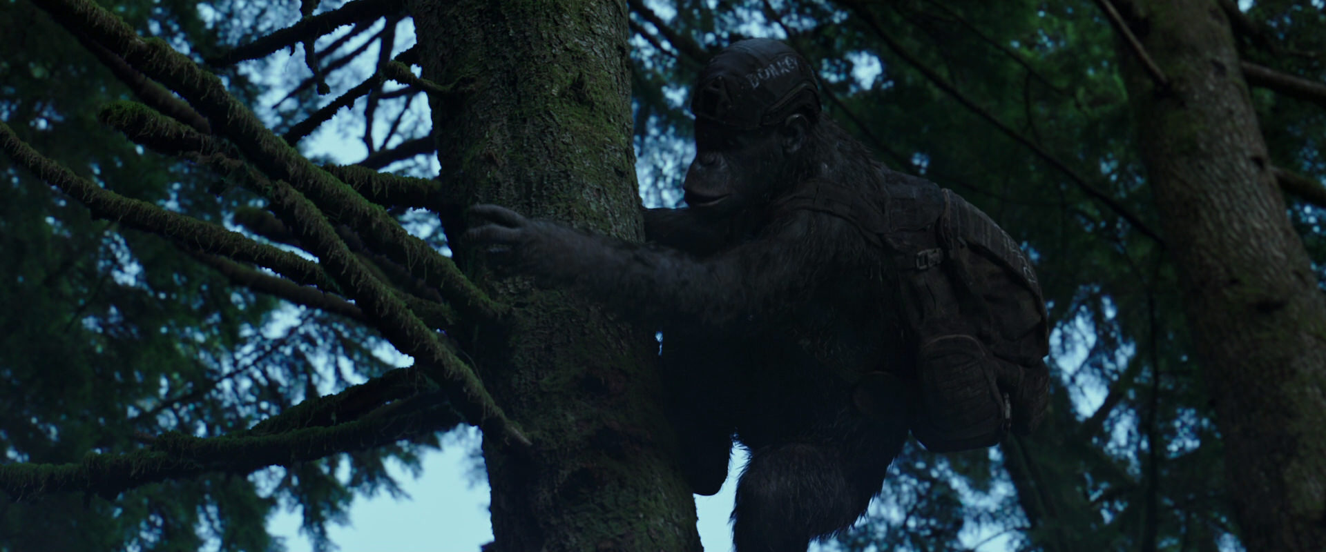 War for the Planet of the Apes (2017) HD screenshot 167