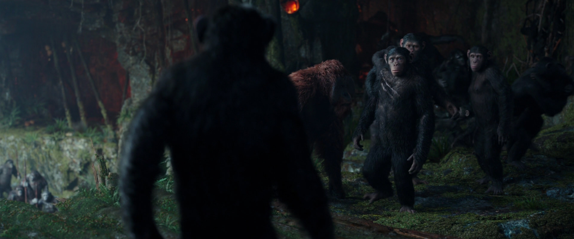 War for the Planet of the Apes (2017) screencap 1671