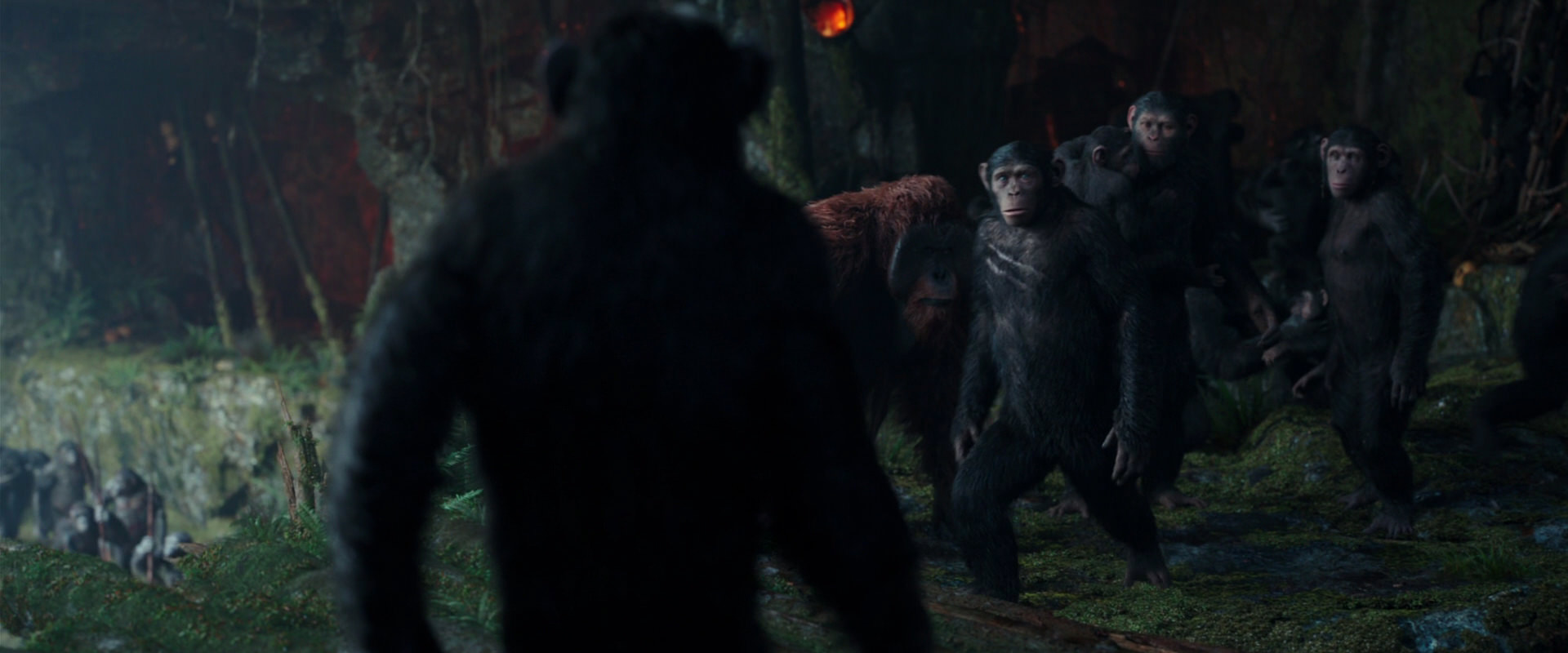 War for the Planet of the Apes (2017) movie still 1672