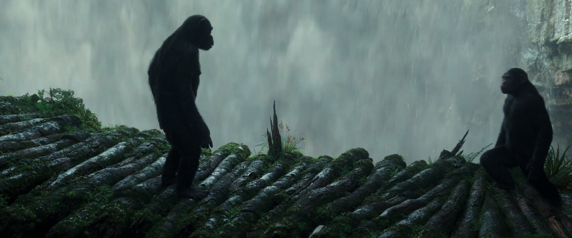 War for the Planet of the Apes (2017) movie still 1675