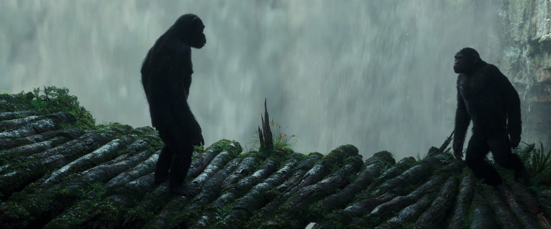 War for the Planet of the Apes (2017) HD screenshot 1676