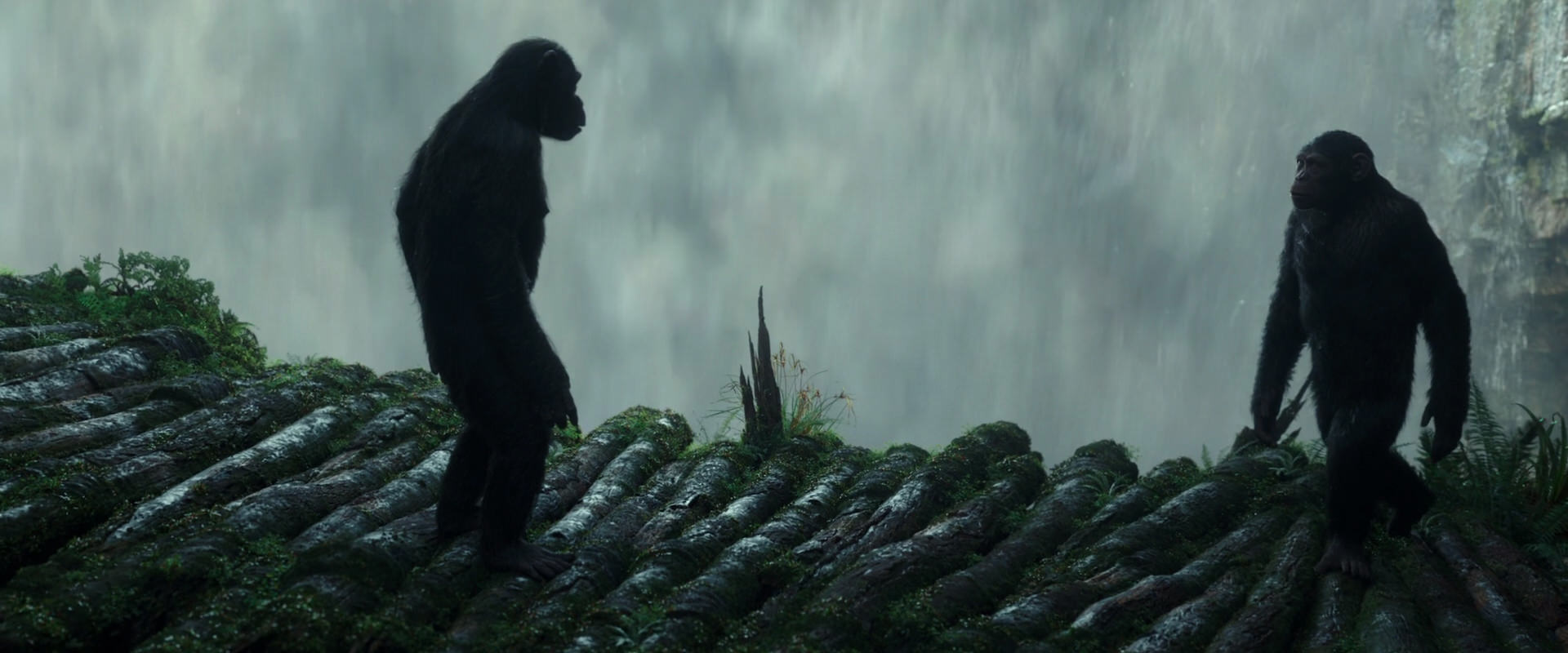 War for the Planet of the Apes (2017) screencap 1677